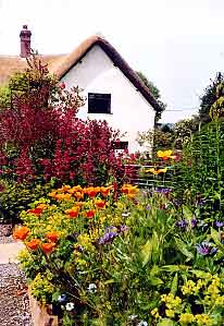Cherry Trees Bed and Breakfast: the garden in summer